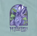 Spring Rabbit T-Shirt - Blue